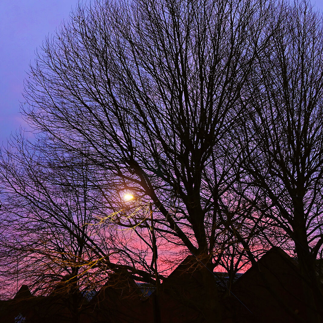 Purple sunset at Imperial Wharf, London, UK